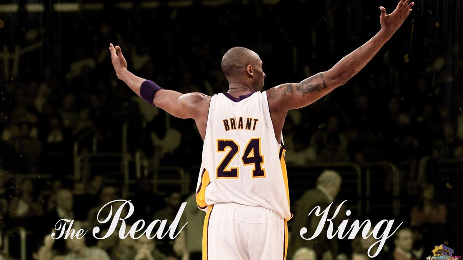 世界自由搏击争霸赛中国勇士登顶